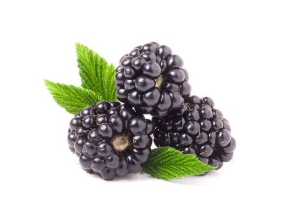 Blackberries - Image 1