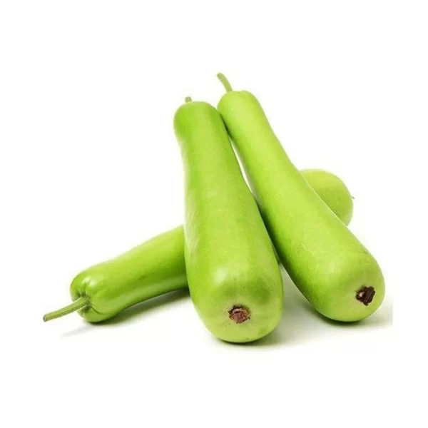 Bottle gourd - Image 1