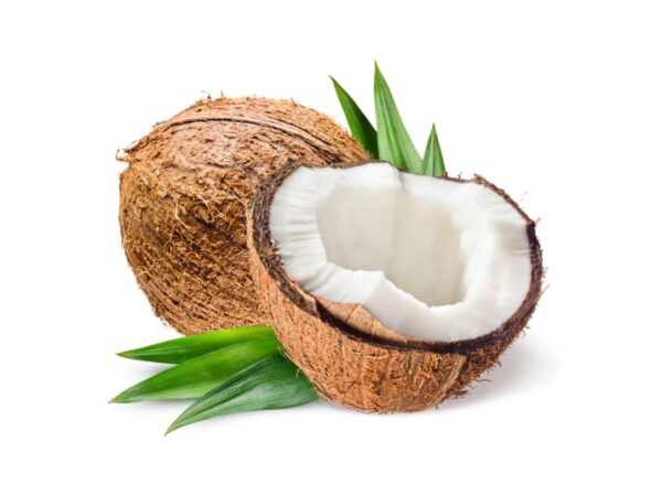 Coconut - Image 1