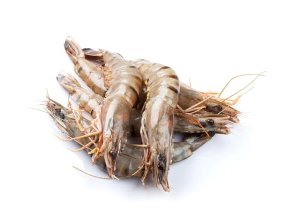 Jumbo King Prawns - Image 1