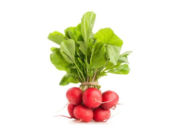 Red Radish - Image 1