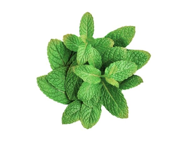 Mint - Image 1