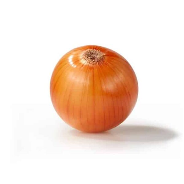Onion - Image 1